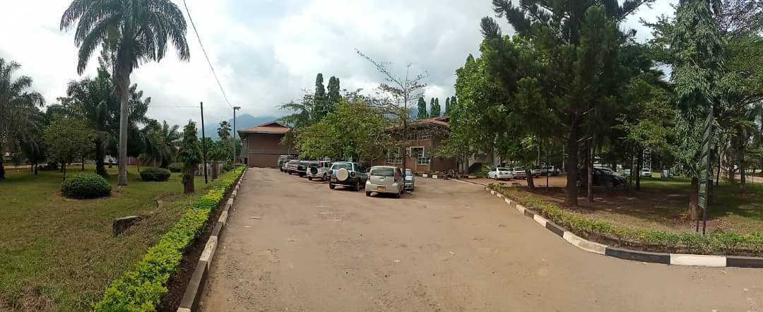 College view panorama